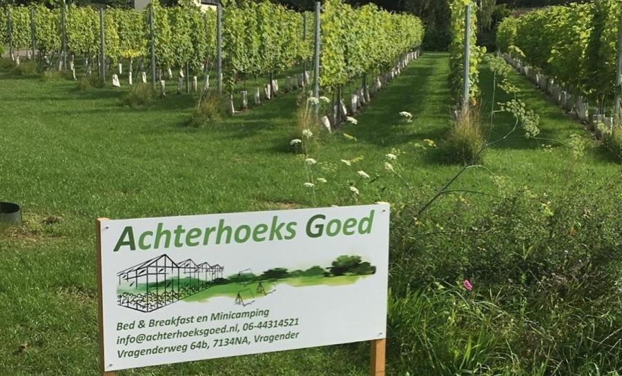 Achterhoeks Goed, Minicamping In Vragender Extérieur photo
